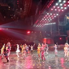 Reisen ohne Koffer – Teil 3