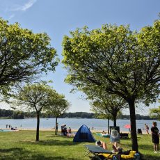 Sommer in Plasmolen