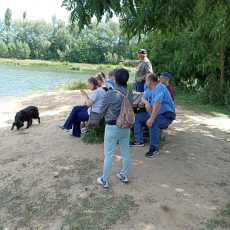 Biberführung am Rinderner Angelgewässer