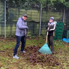 Im Garten und am Backofen Im Garten und am Backofen